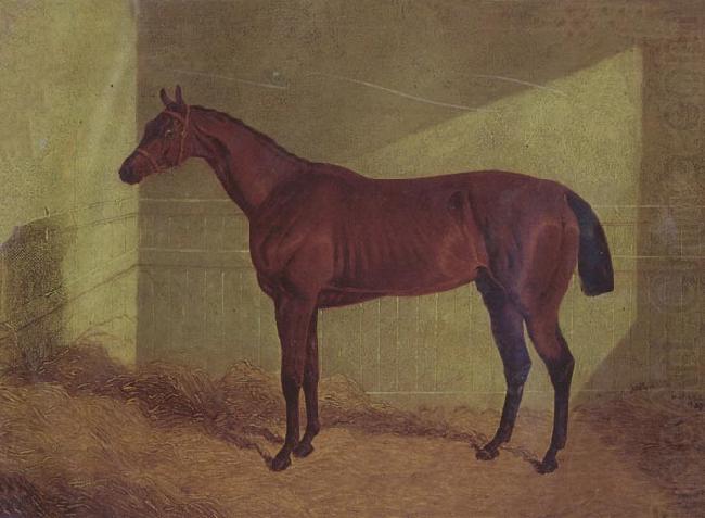 John Frederick Herring Margrave Winner of the st Leger china oil painting image